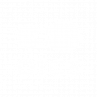 OICS